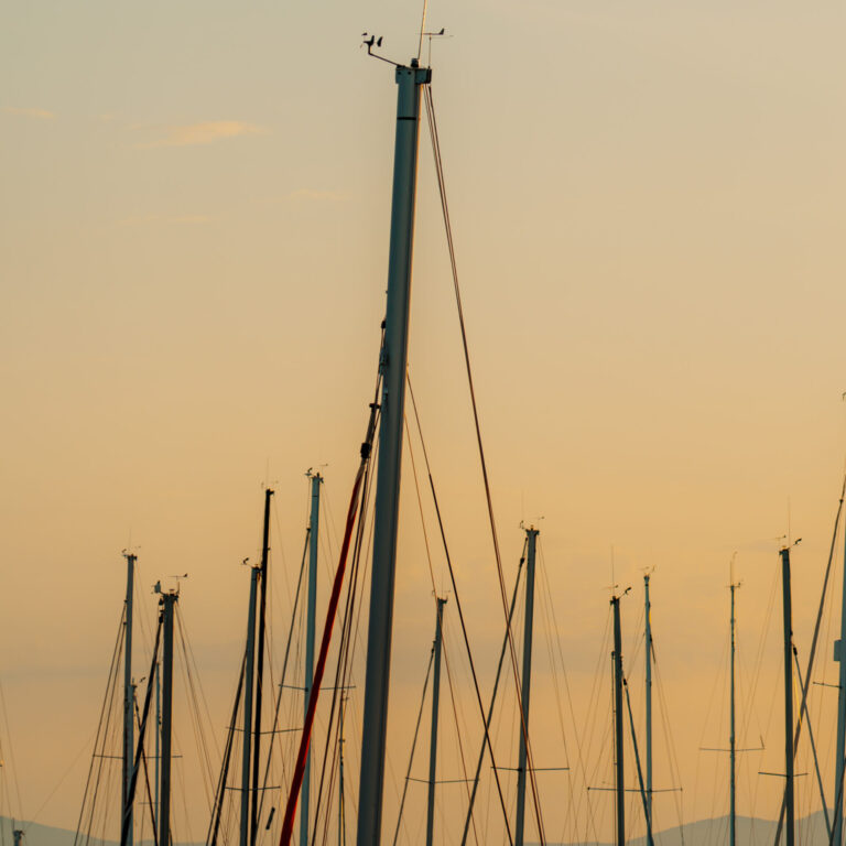 MARINA_DI_SCARLINO_202604_P47